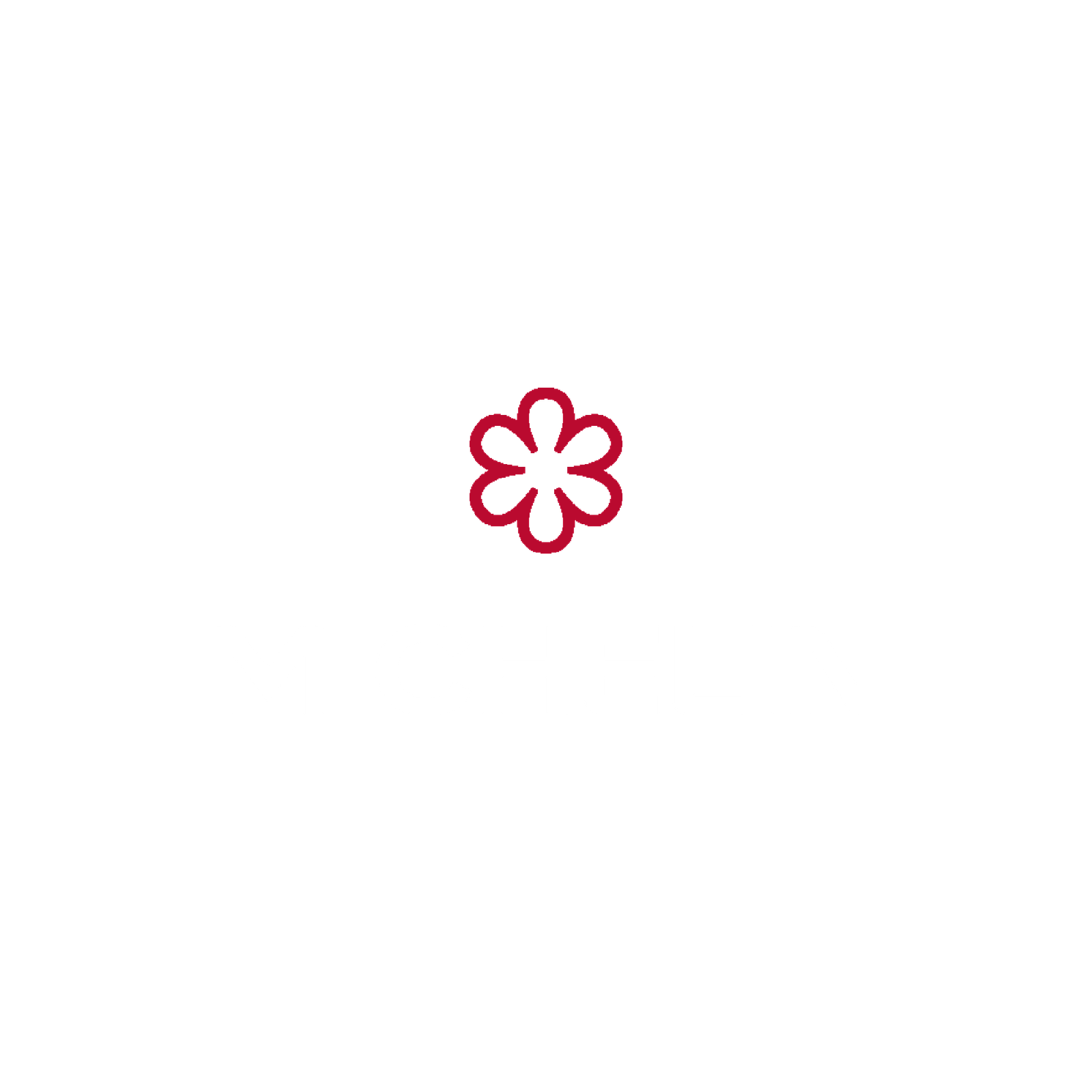 Logo Michelin